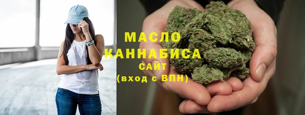 гидра Богданович