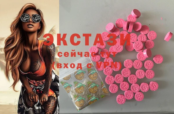 дживик Богородицк
