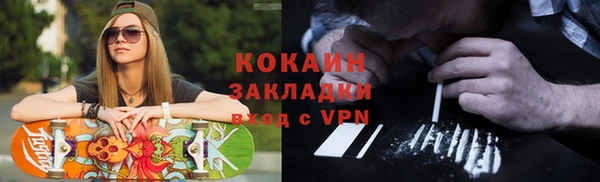 дживик Богородицк
