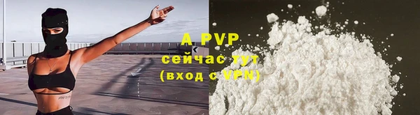 дживик Богородицк