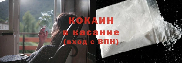 spice Богородск
