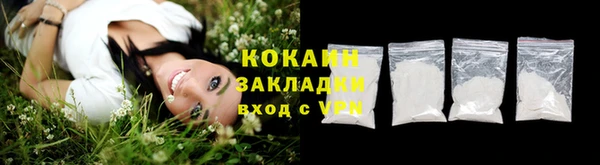 гидра Богданович
