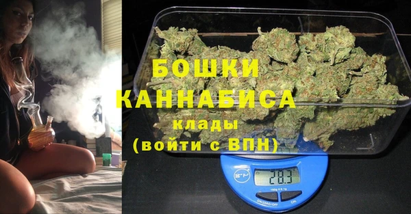 гидра Богданович