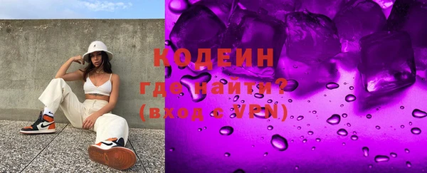 дживик Богородицк