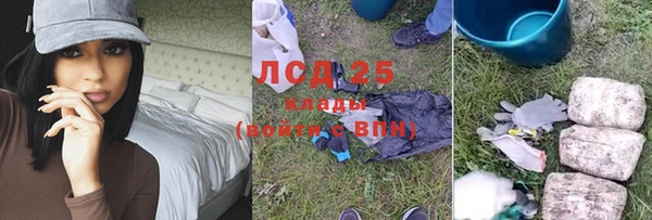 дживик Богородицк
