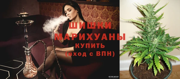 гидра Богданович