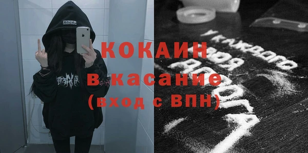 гидра Богданович