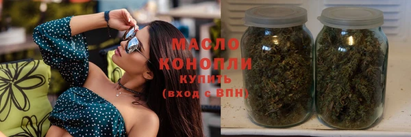 гидра Богданович