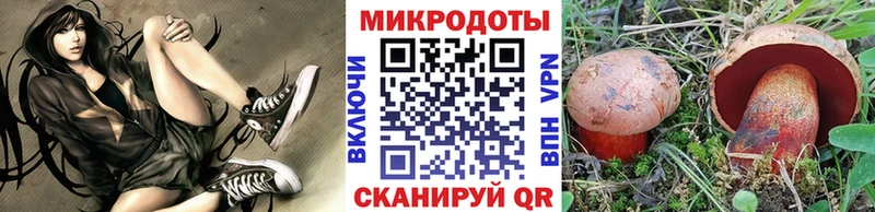 Галлюциногенные грибы Cubensis мега ссылки Лукоянов